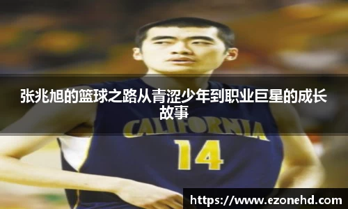 米兰体育官网